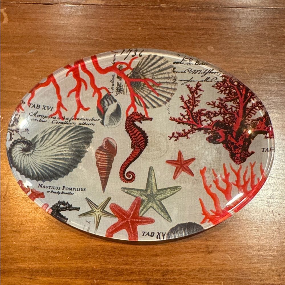 NWOT Michel Design Works Soap Dish Sea Life Shells Ocean Horse Red Gray Black